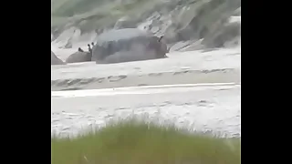 2 casais fazendo sexo em praia de nudismo SC comedor ativo1